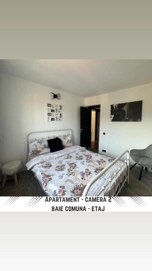 Vila Mik Guesthouse Săcele Esterno foto