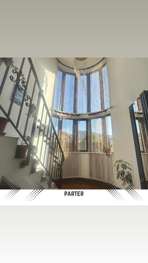 Vila Mik Guesthouse Săcele Esterno foto