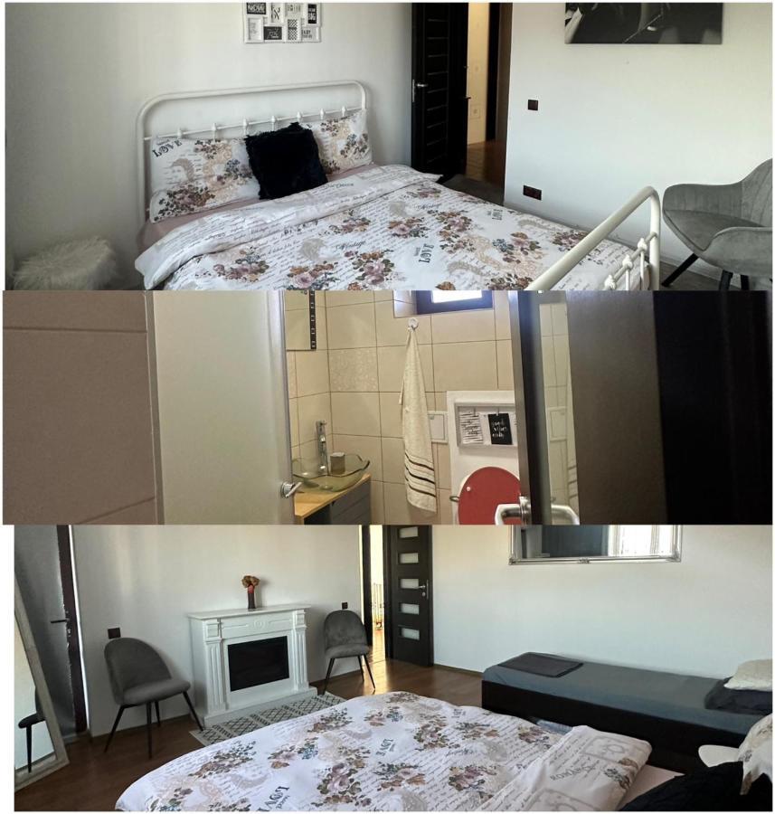 Vila Mik Guesthouse Săcele Esterno foto